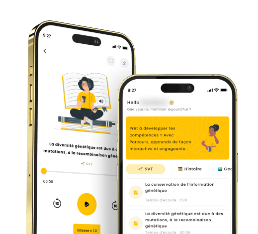 App Mockup Illustration